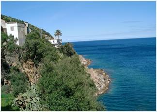 El Tarf